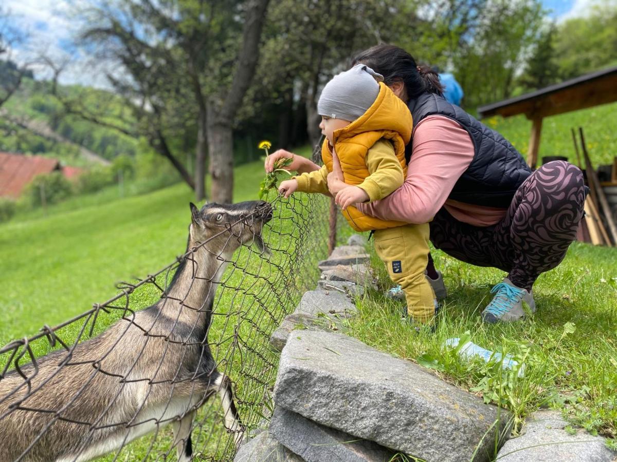 Domcek V Strani Villa Mýto pod Ďumbierom Bagian luar foto