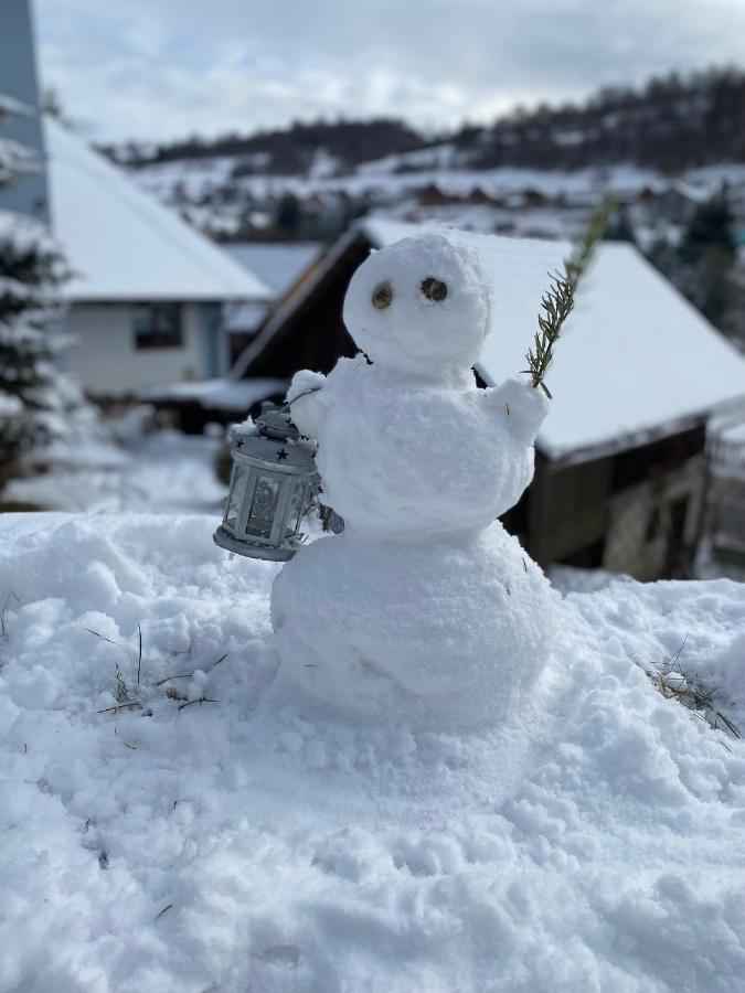 Domcek V Strani Villa Mýto pod Ďumbierom Bagian luar foto